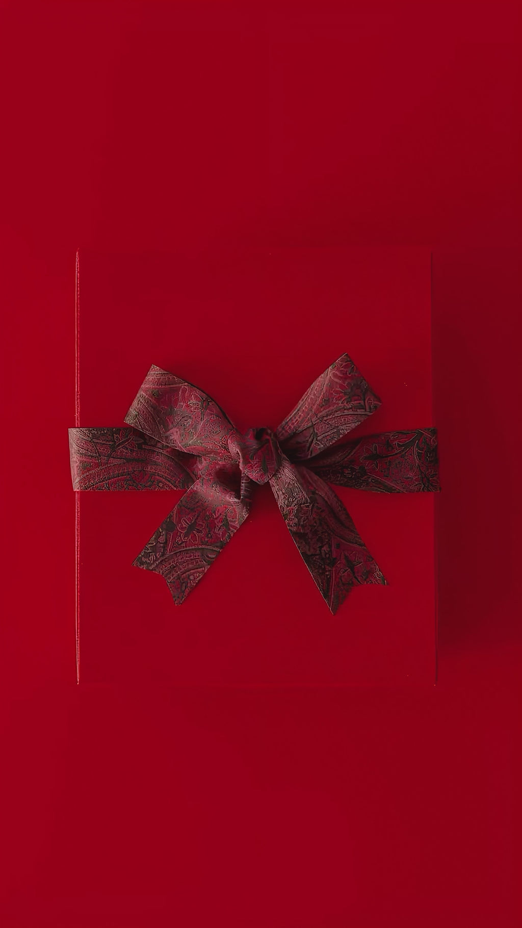 Santa's Secret Hoodie