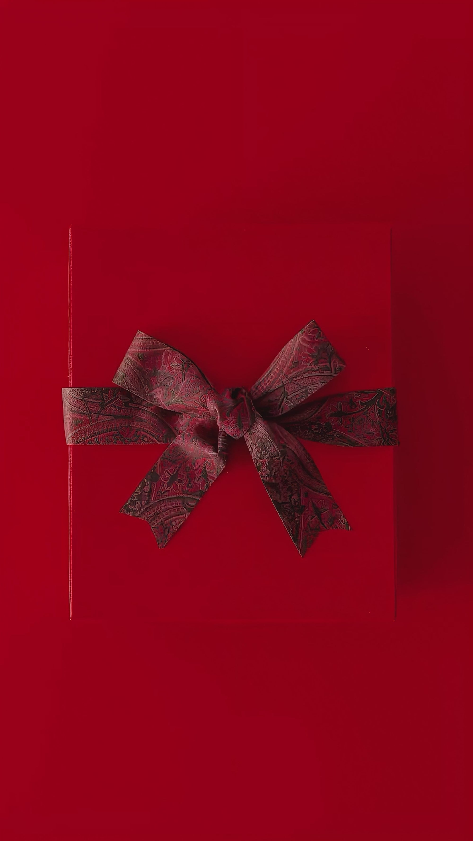 Santa's Secret Hoodie